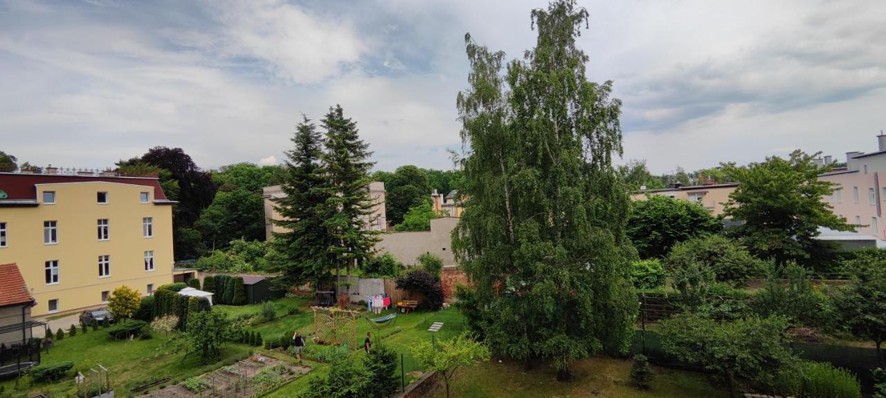 View Zamenhofa Ii * Swidnica (Lower Silesia)